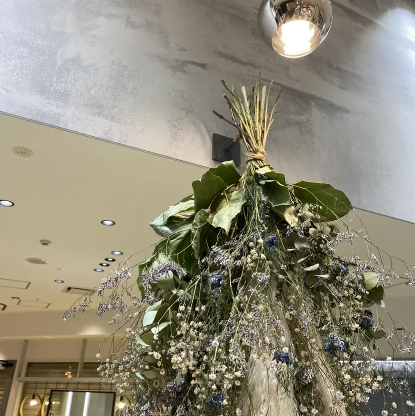 岩竹 海咲の掲載