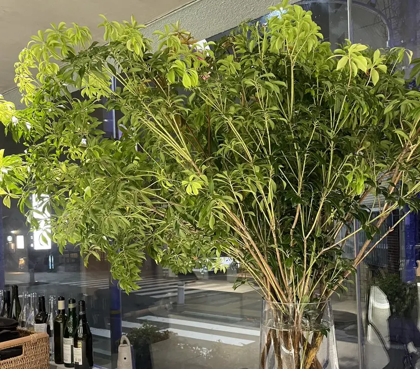 頼金 愛海の掲載