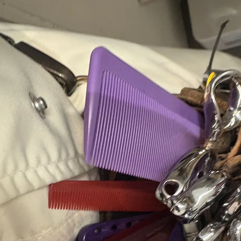 中瀬 友紀の掲載