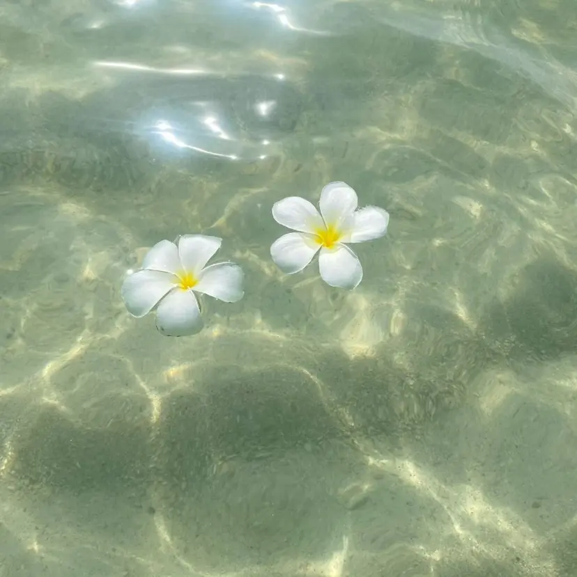 nalu🐚 京橋｜Rommyの掲載