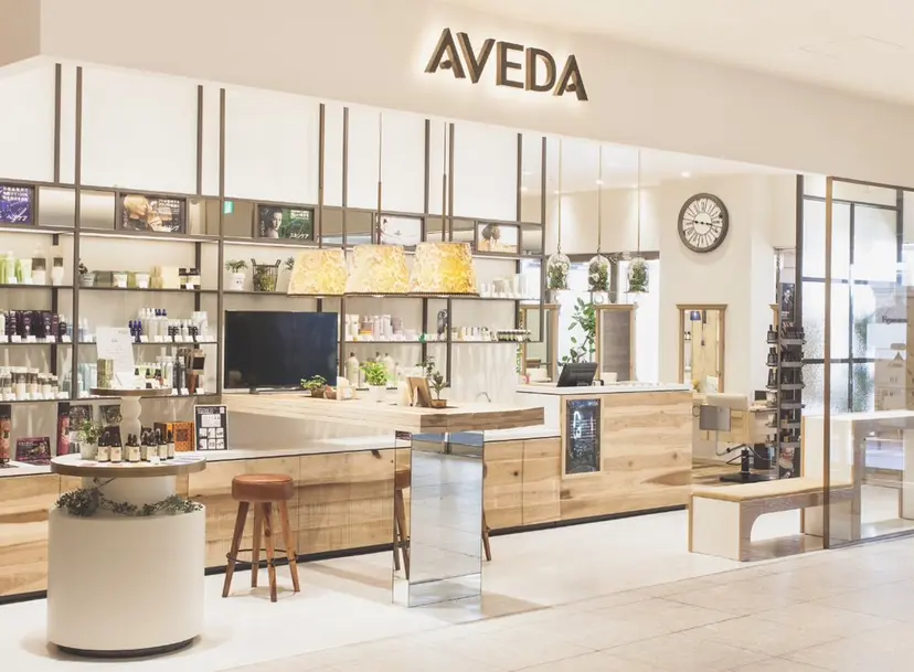 田中 大心の掲載