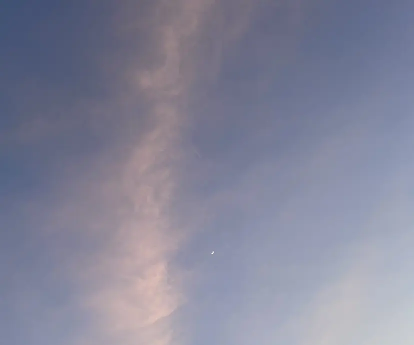 momoka ［pejite]の掲載