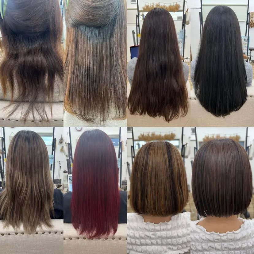 中村 莉菜の掲載