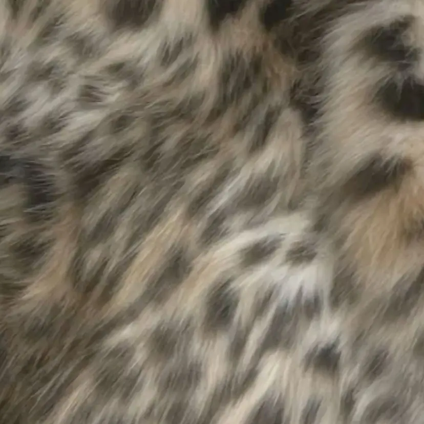 SoLuna Hikariの掲載