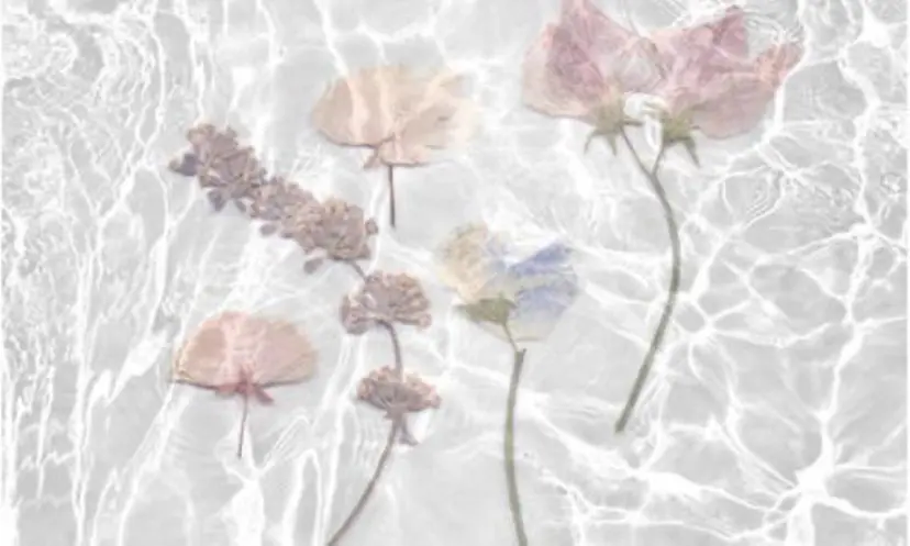 透明感カラー♡ 岡部瑠里の掲載