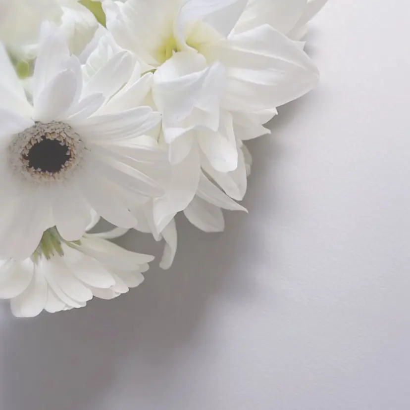 marun._ megumi.の掲載