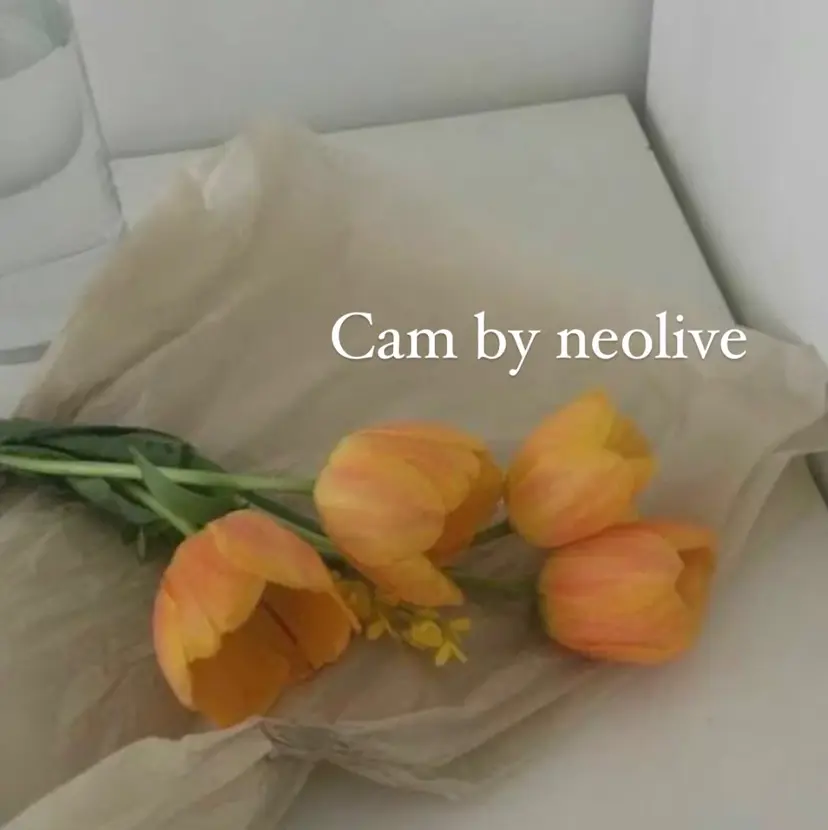 sakurai nodokaの掲載