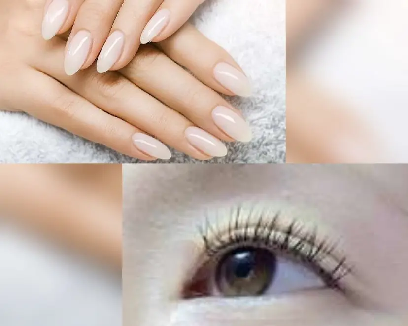 3131浅草 アイリストの掲載