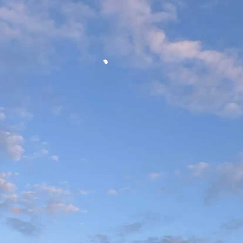 松尾 汐莉の掲載