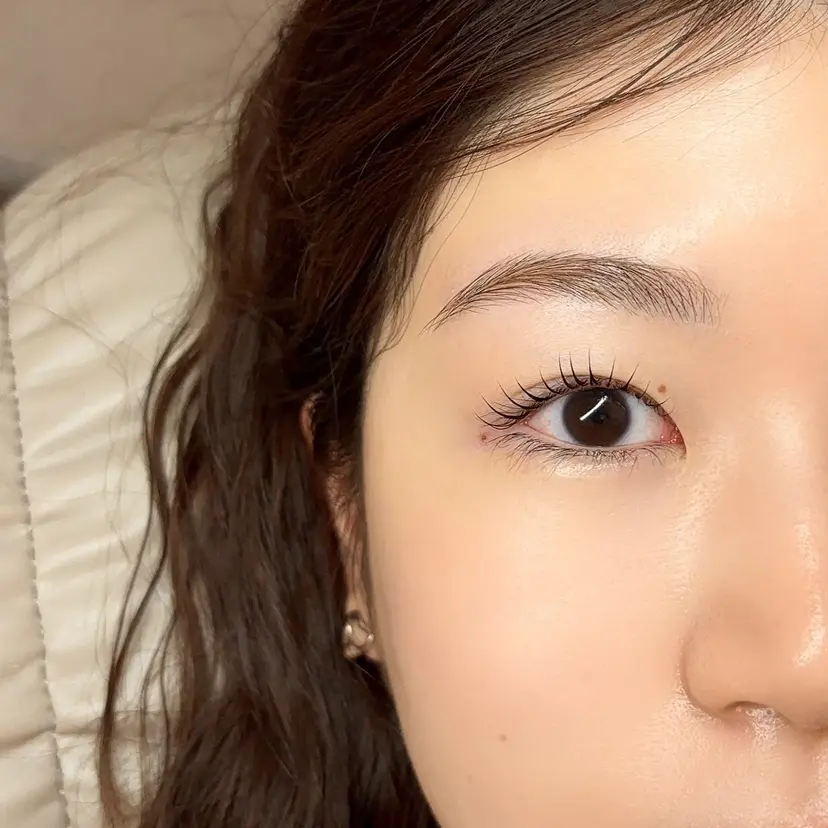 l'ombre Shizukaの掲載