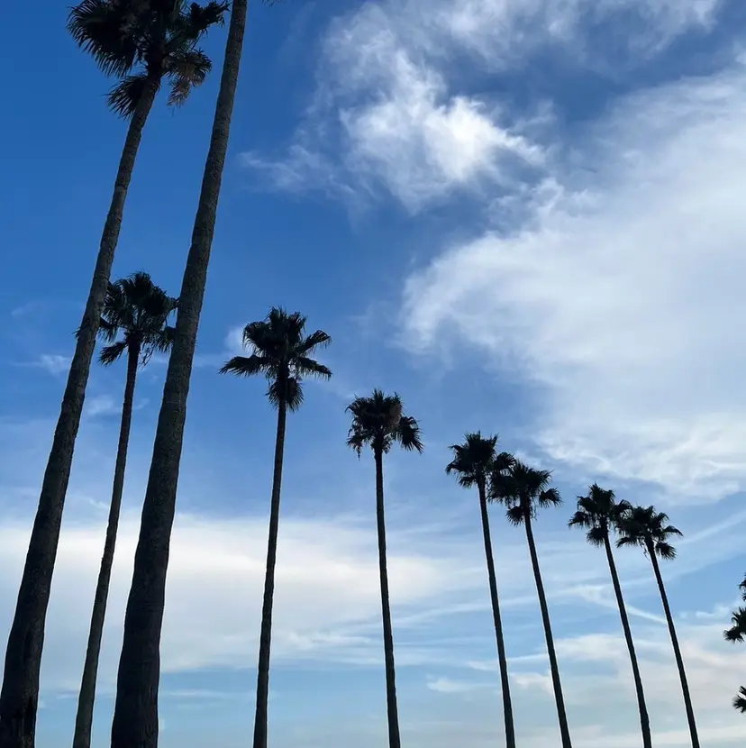 ✂︎練習モデル kousuke✂︎の掲載