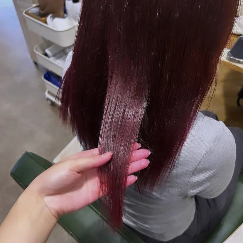 🎀chacha blanc佐藤🎀の掲載