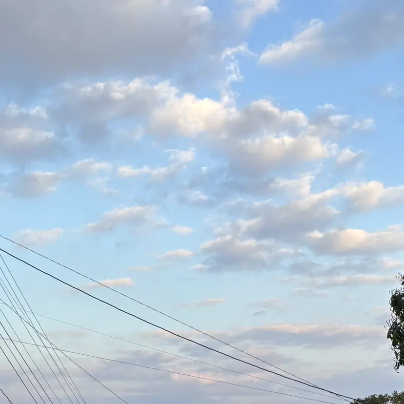 inc 新小岩 Runeの掲載