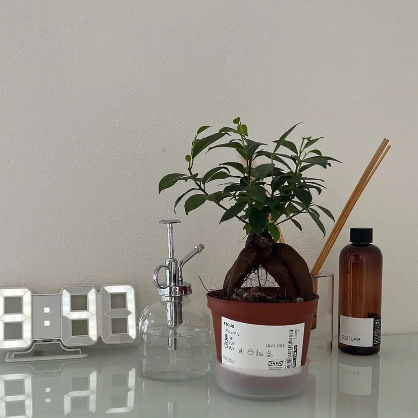 ナカオ/美髪縮毛矯正 /ボブ/メンズカットの掲載