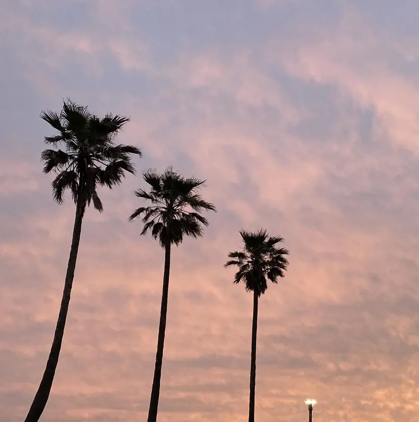 Luxe🌺 ITOの掲載