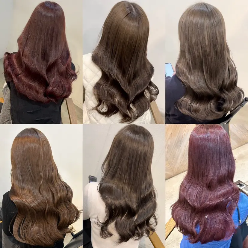 Lolonois miuの掲載