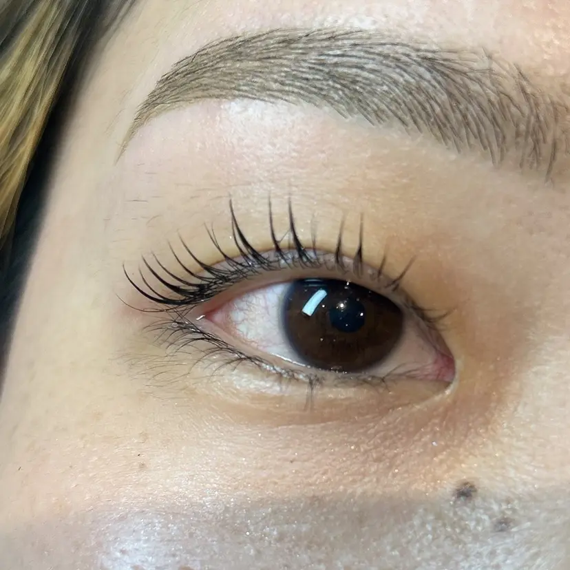 シルエット 有田の掲載