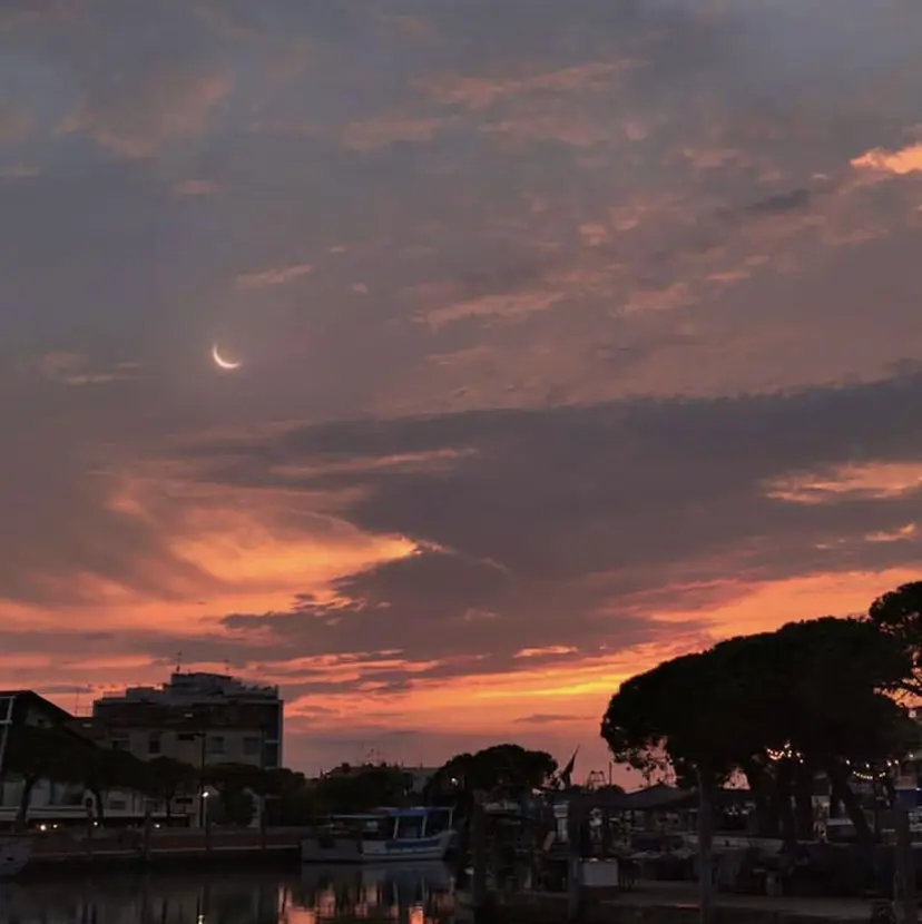 あだち ゆかの掲載