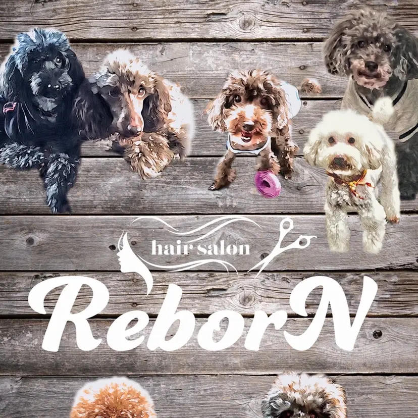 長島 良子の掲載