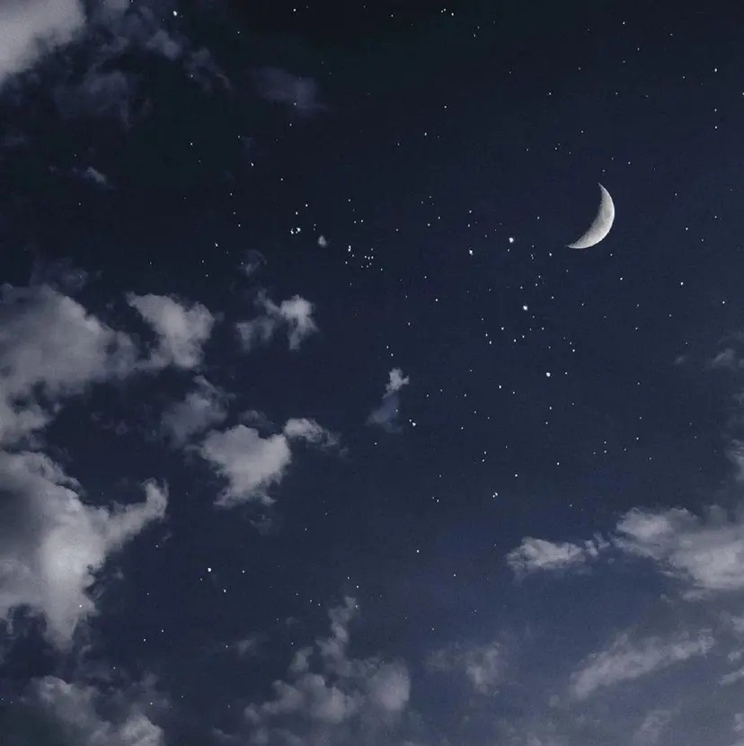 Sleep in 但野の掲載