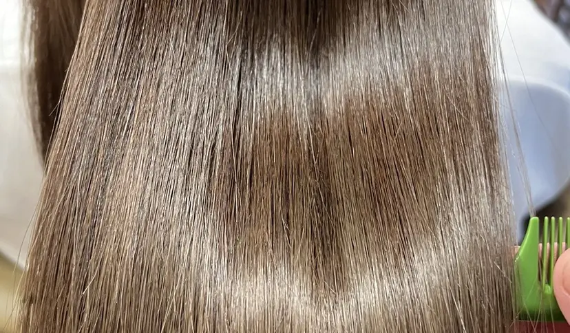 中村 由布紀の掲載