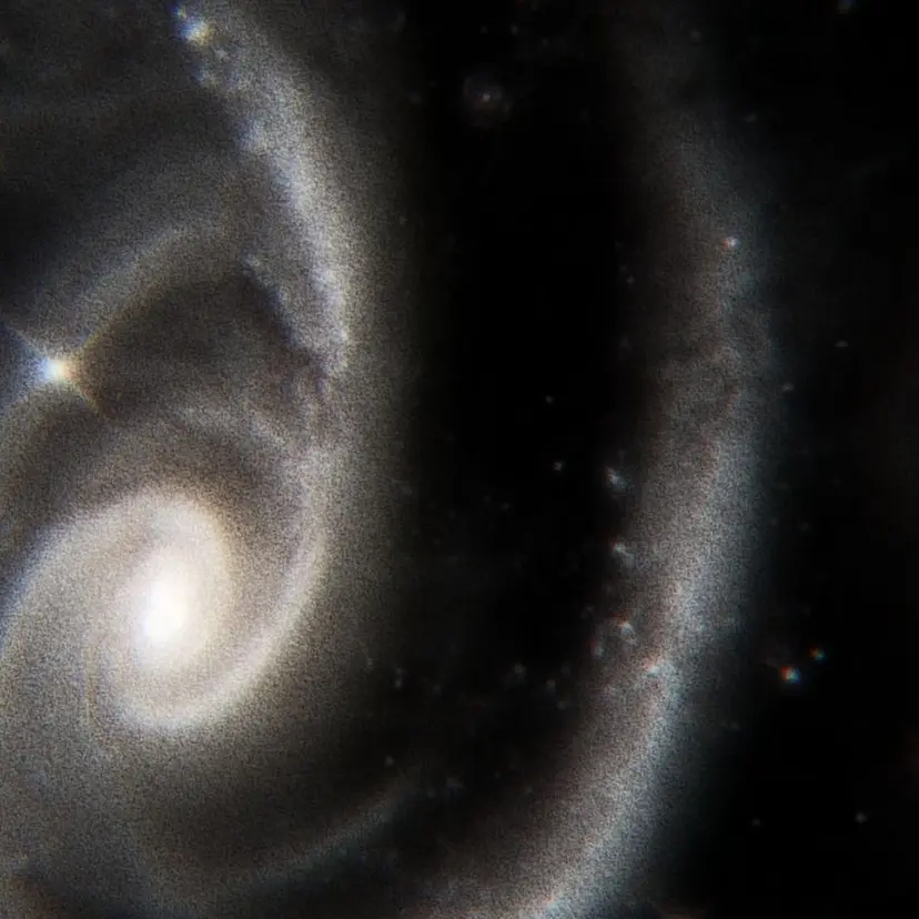 上村 玲奈の掲載