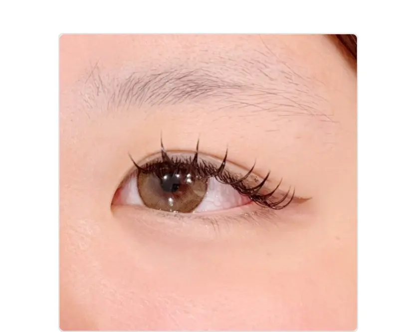 EVEREYES shibaの掲載