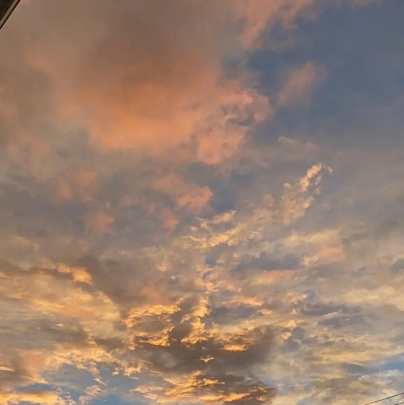 🍒束間まつ毛ෆ sasara🍒の掲載