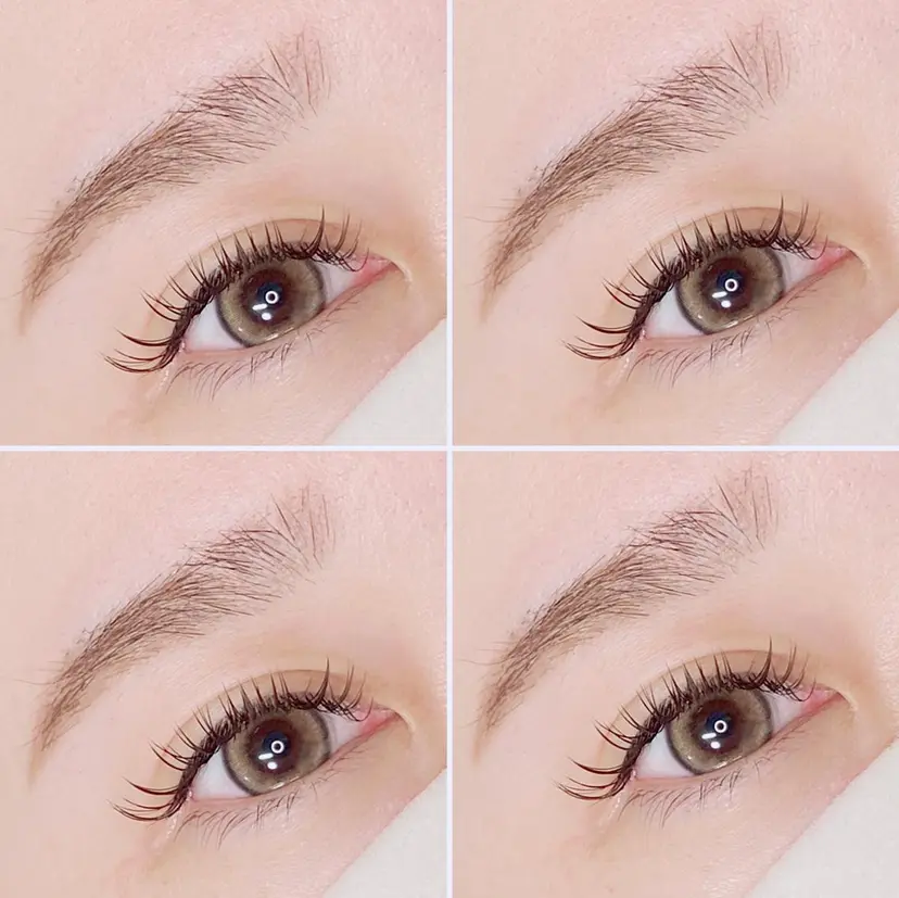 belle eyelashの掲載