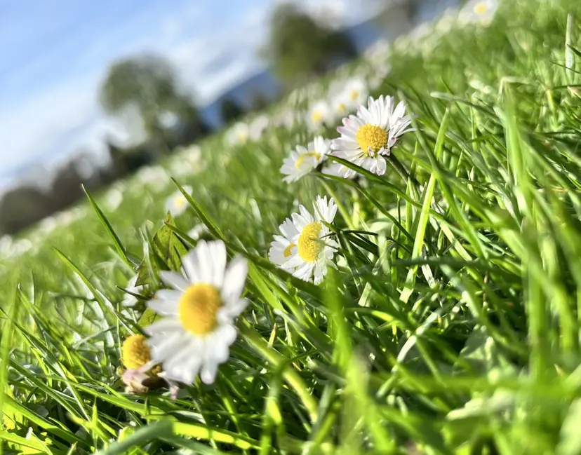 EmaNail MOMOの掲載