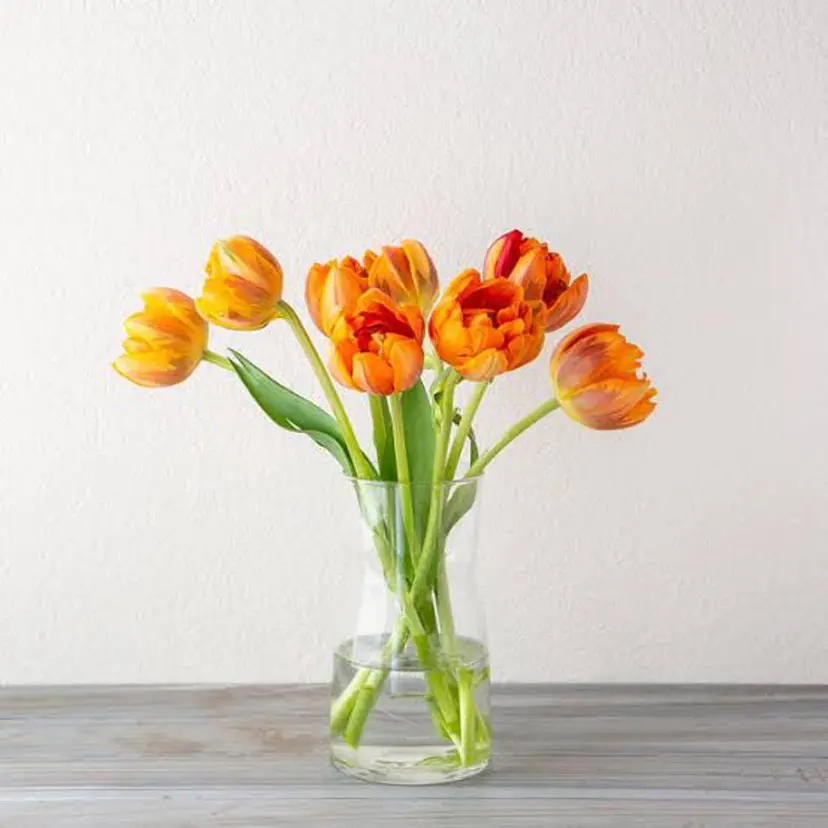 小片 百音の掲載