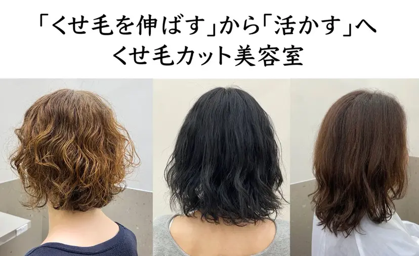 多毛くせ毛カット専門 ネギシトモヒロの掲載