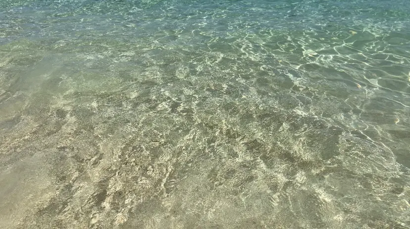 ミハラ アイの掲載