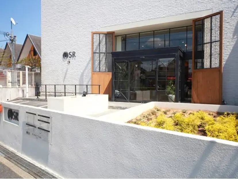 齋藤 美空の掲載