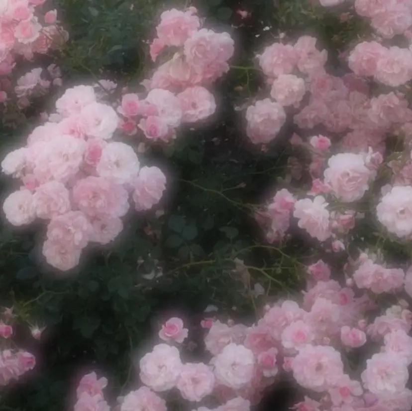 村山 美咲の掲載