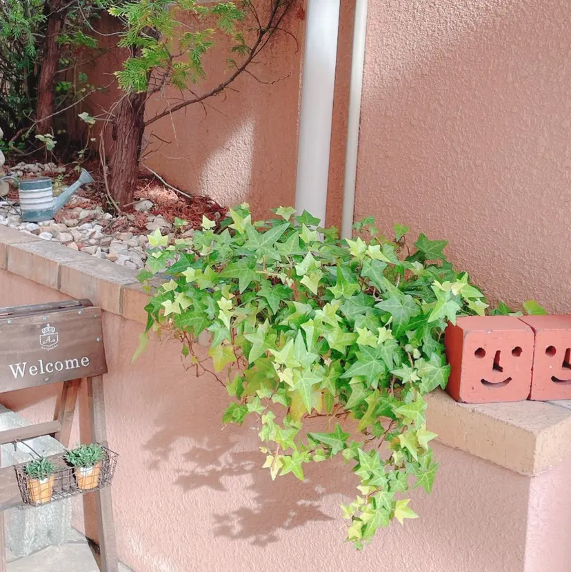 美容室DO-UP 小川　貴彦の掲載