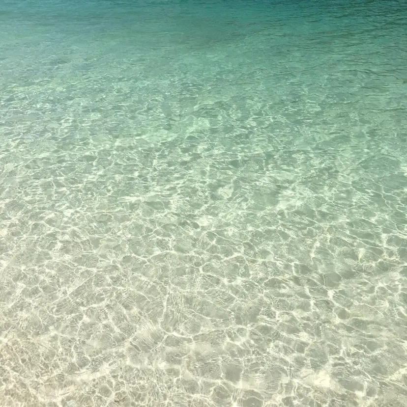 透明感カラー💎 AYAの掲載