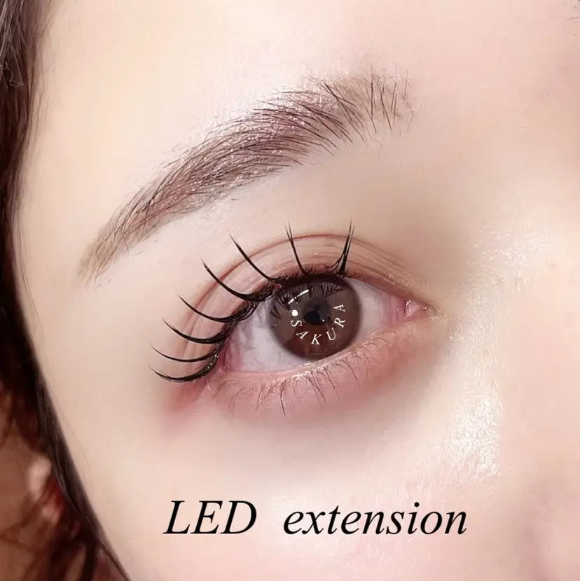 EYE405 SAKURAの掲載