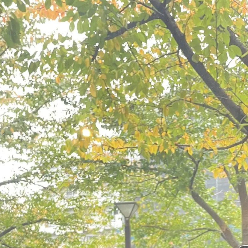 🍎透明感 カラー　AKI🍎の掲載