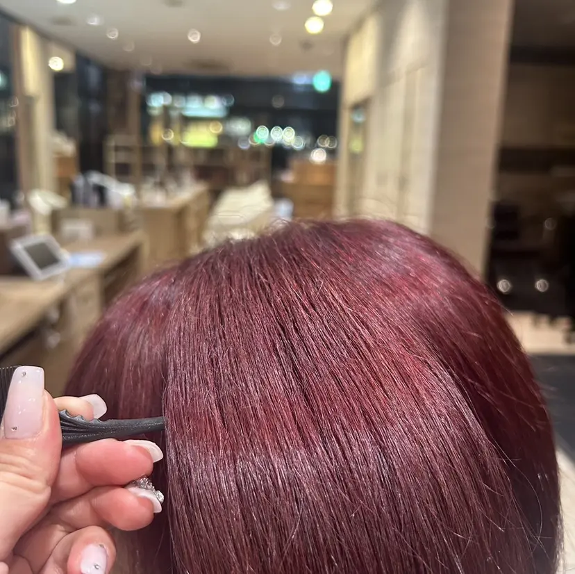 岩永 杏樹の掲載