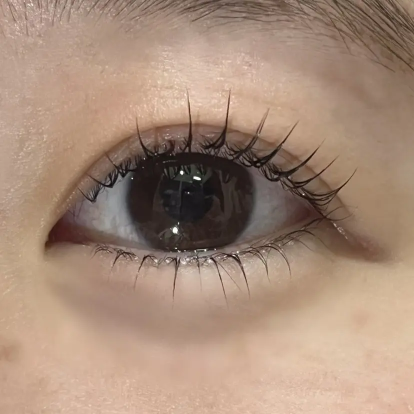 鈴木 里奈の掲載