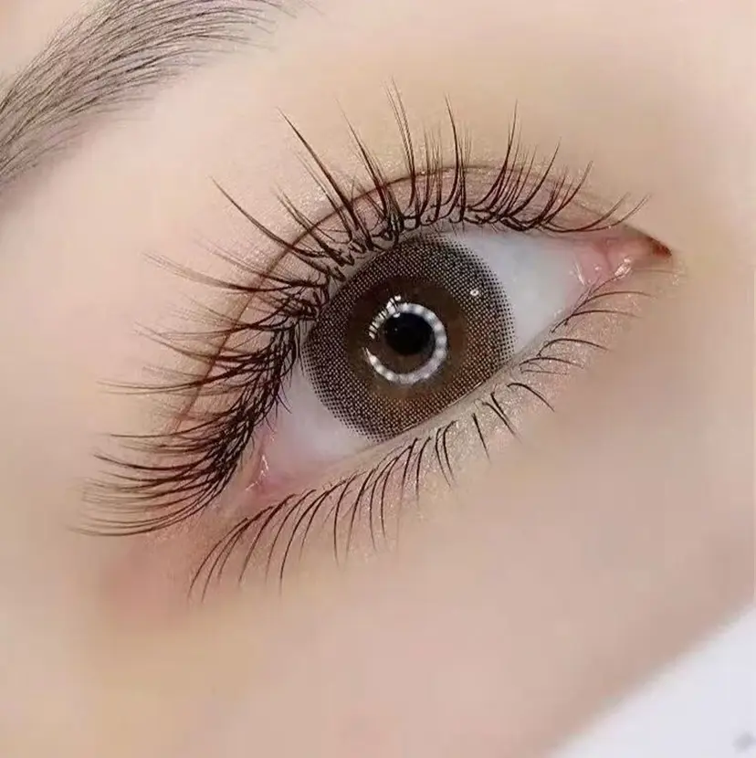 高橋 陽菜の掲載