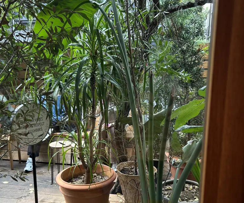 ORe'S HAIR BE　GLaDまなみの掲載