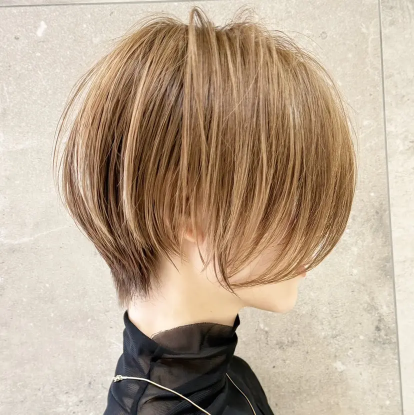 西村 公孝の掲載