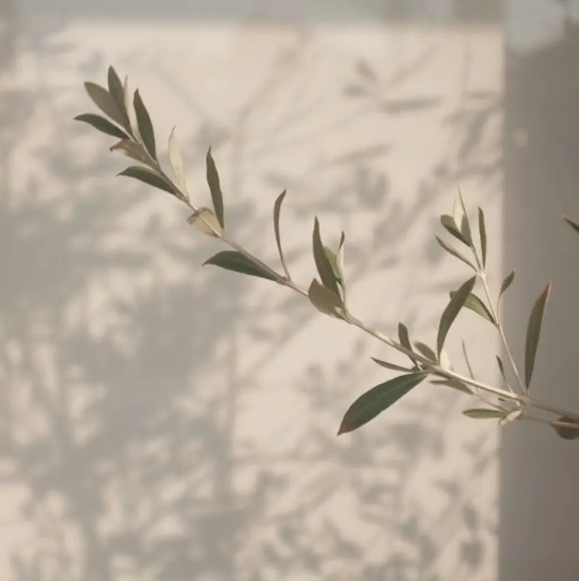 石渡 美沙の掲載