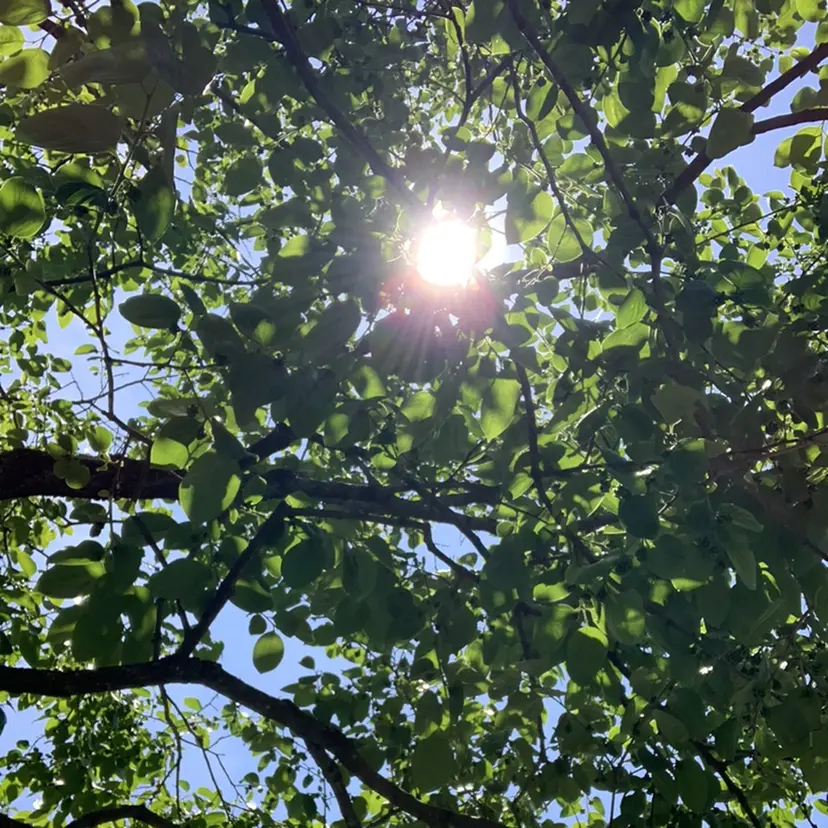 ボディケア/リラク Resetの掲載