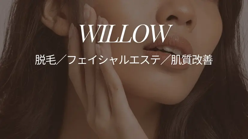 脱毛サロン Willow/宮島の掲載