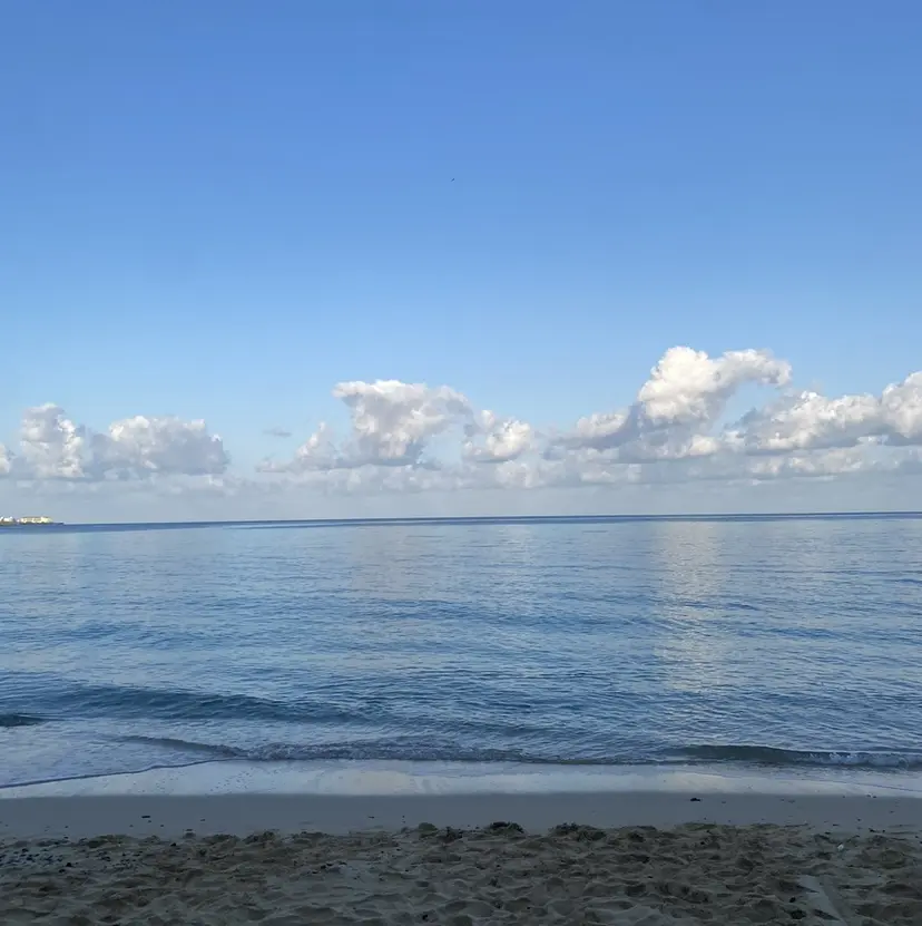 AINO 三軒茶屋の掲載