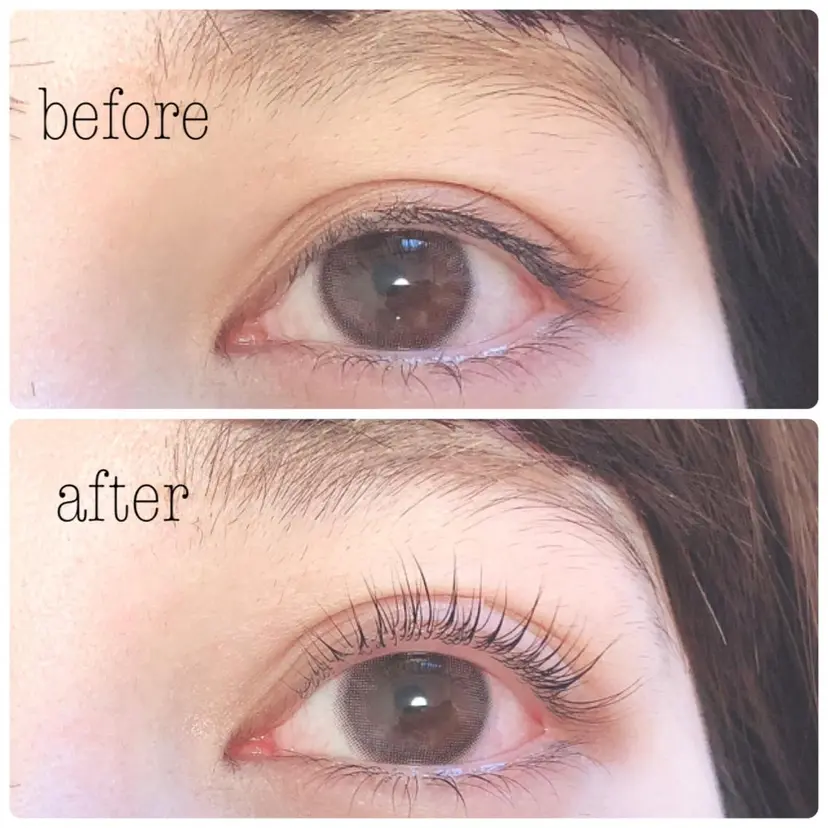 澤本 美里の掲載