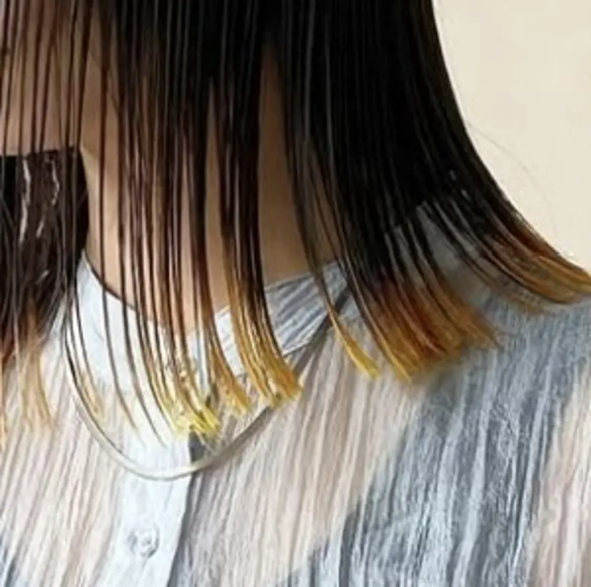 けー ボブの掲載